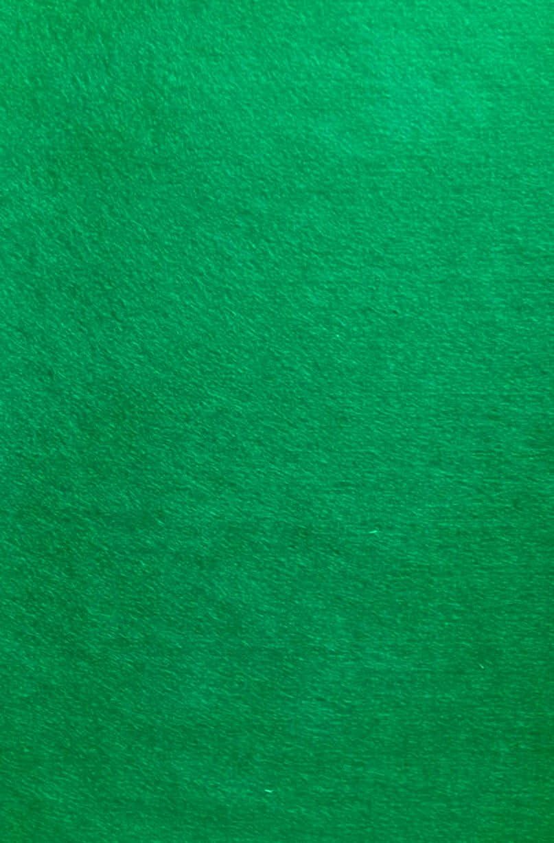 Felt (Emerald Green - PMS 356) Sticky Back, A4 Sheet (8.27" x 11.69"), Thickness 2 mm, self-Adhesive, Durable and Water Resistant, Multi-Purpose, for Art & Craft Making, 2 Sheets (P28)