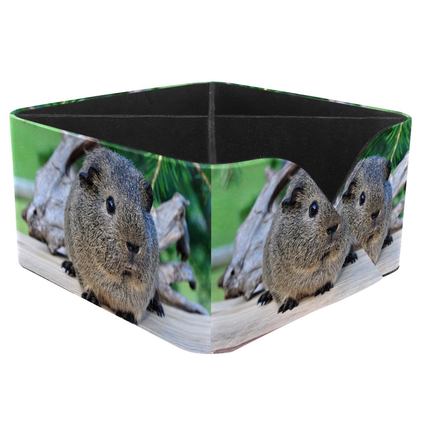 KengjuTesu Cute Guinea Pig Desktop Organizer Pen Holder, Rectangular Pencil Cup for Office, Study and Makeup Stations