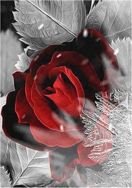 RosewineC DIY Diamond Art Kits for Rose, 5D DIY Diamond Art Painting Kit, Diamond Art Kits Adults for Home Wall Decor, Diamond Art Accessories 40x30cm