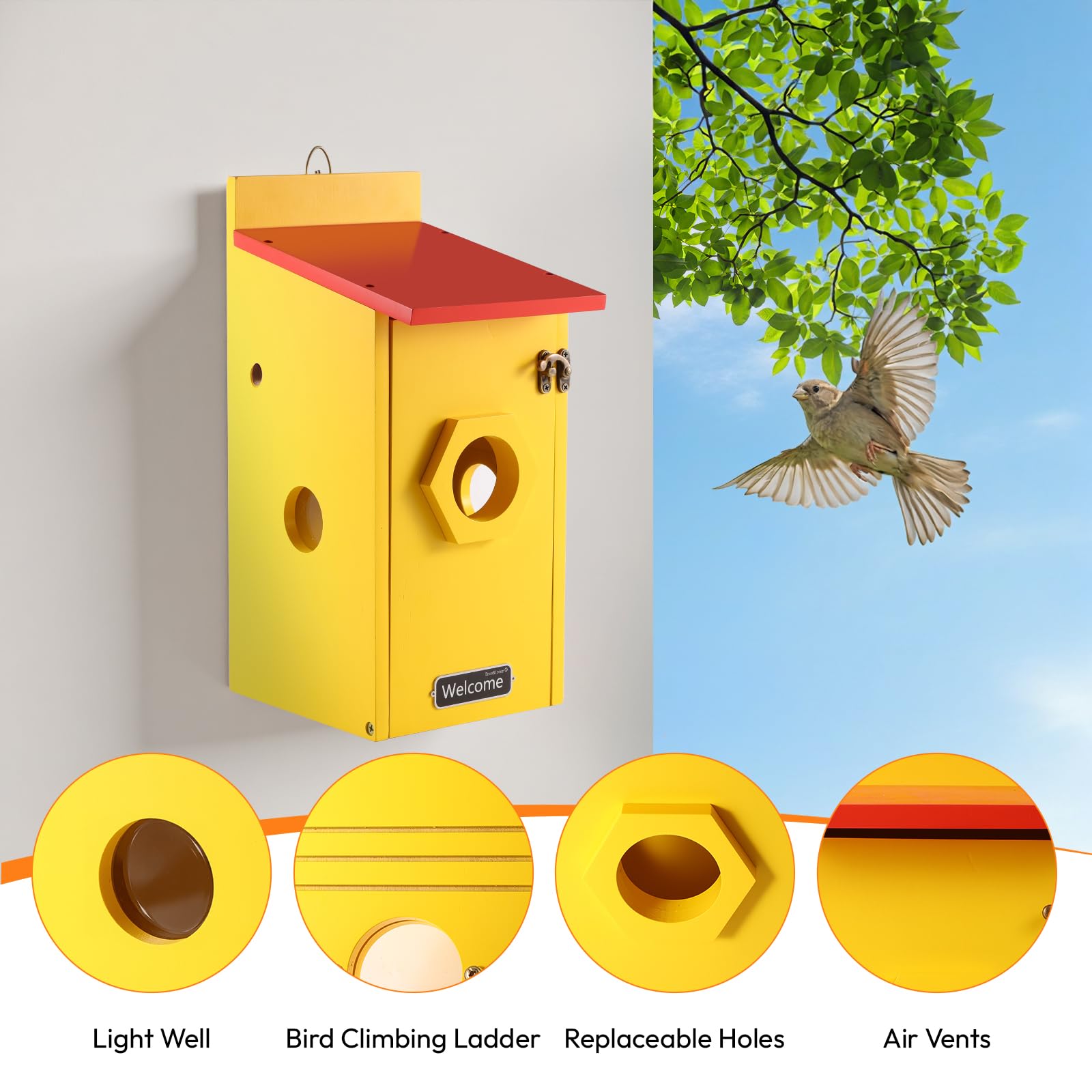 Casetta per uccelli con fotocamera da 5 MP, Wi-Fi, colorata per nido, resistente alle intemperie, notifica WiFi e app, registrazione video/foto e rilevamento del movimento, osservazione della vita