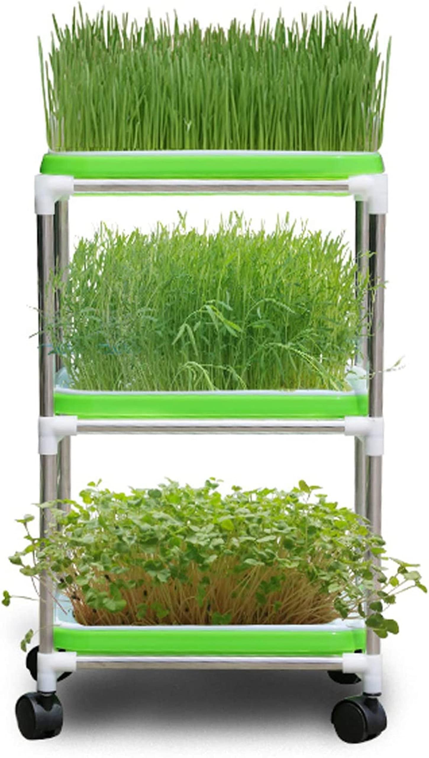 Plateau de germination de graines et support en acier inoxydable pour cuisine