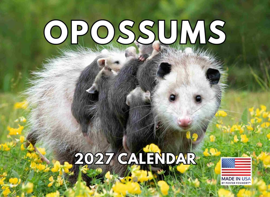 Opossum Calendar 2025 Monthly Wall Calender | American Made In The USA — image 1