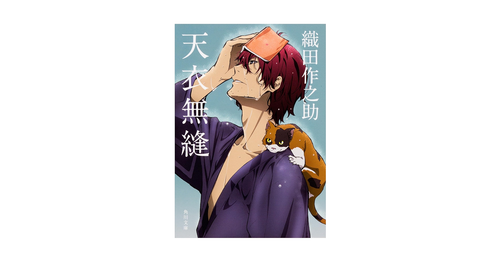 Amazon.com: 天衣无缝日文原版天衣無縫(角川文庫