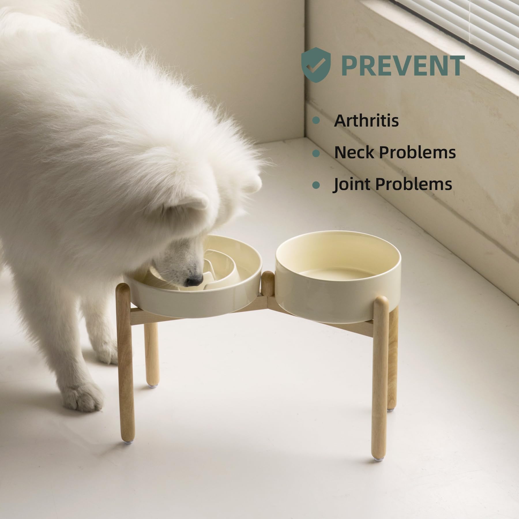 Havniva Ciotole lente elevate del cane dell'alimentatore, insieme lento