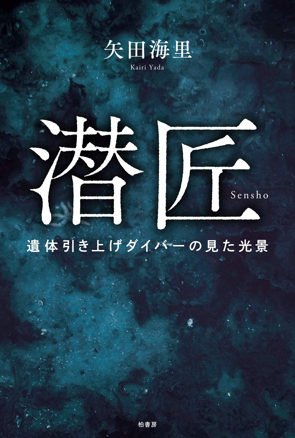 命を懸けた冒険　グレイ　PR＋　PR セット　値下げ中 潜匠 遺体引き上げダイバーの見た光景 | 矢田 海里 |本 | 通販 | Amazon
