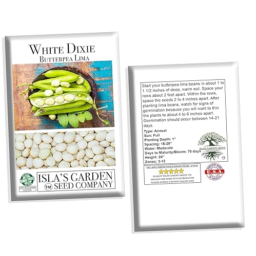 Miniatura 4 de White Dixie Butterpea Lima Bush Semillas de frijol para plantar, más de 25 semillas de reliquia por paquete, semillas de jardín de Isla (semillas de
