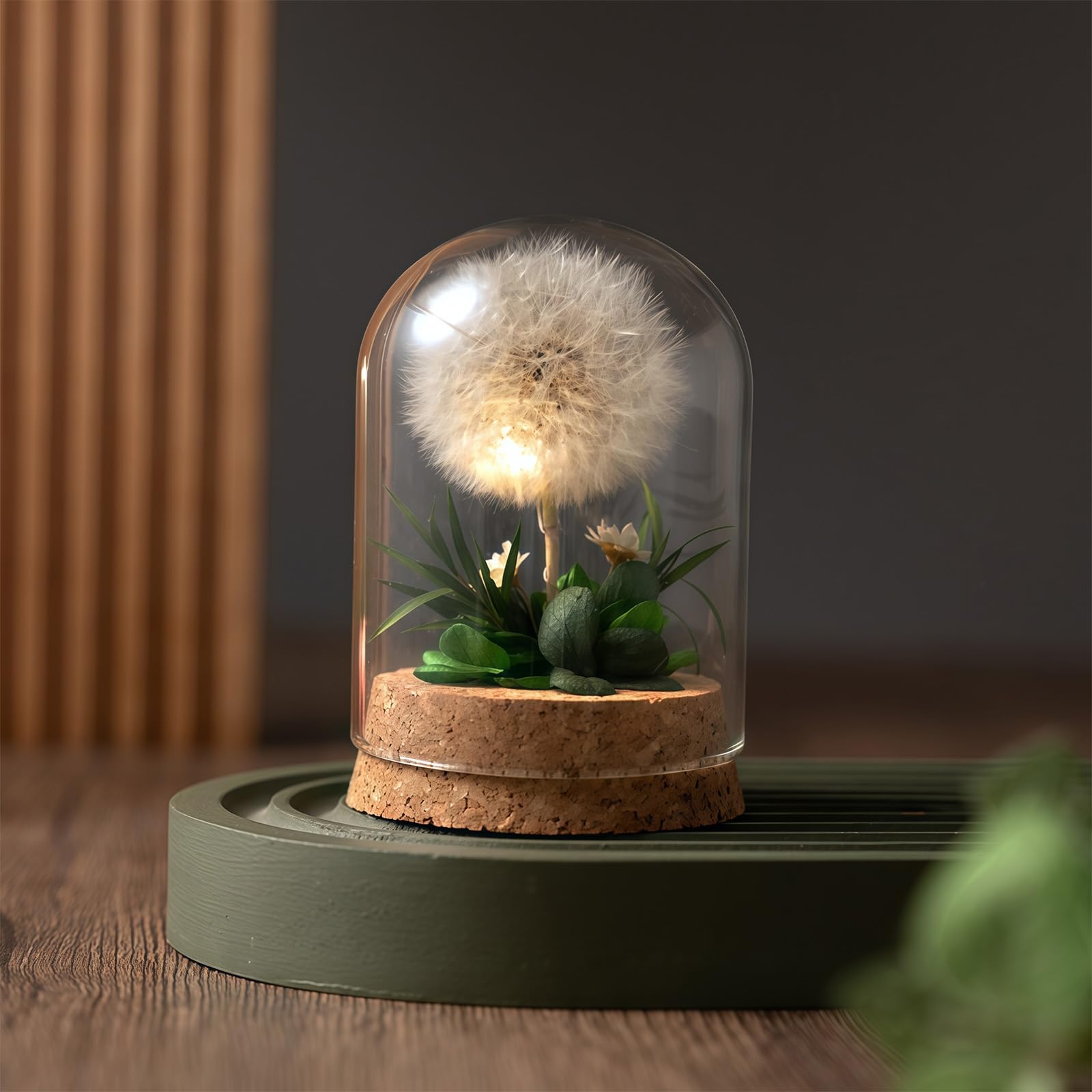 AWSOLAR Eternal Dandelion Night Light, Flower Lamp, Mini Dandelion Gifts