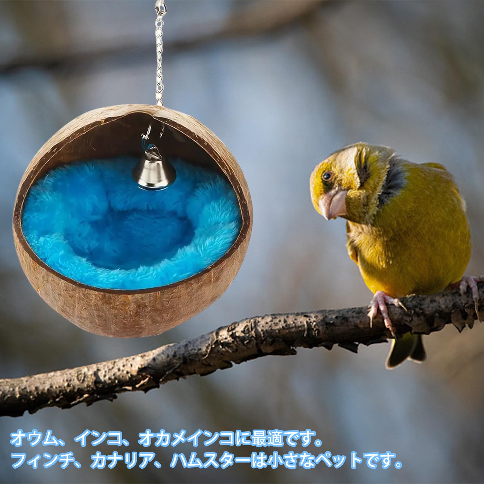 Amazon.co.jp: ココナッツシェル鳥の巣 天然 ココナッツ殻 オウムの巣