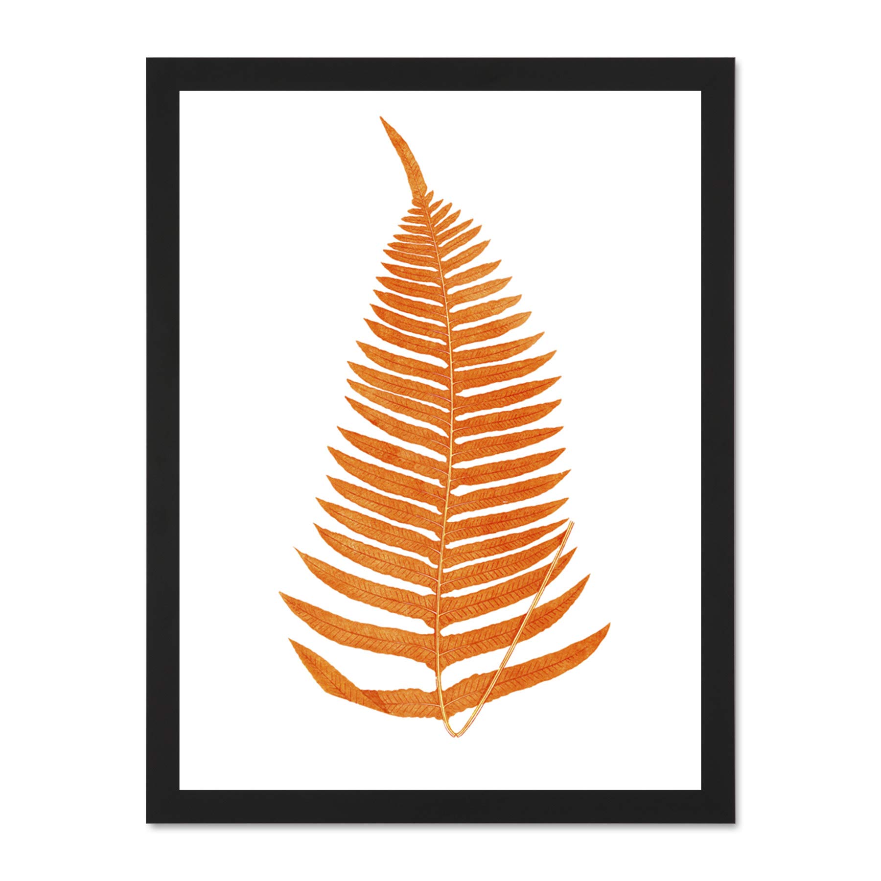 Wee Blue Coo Botanics Red Orange Fern Large Black Framed Art Print Wall Poster 18x24 inch