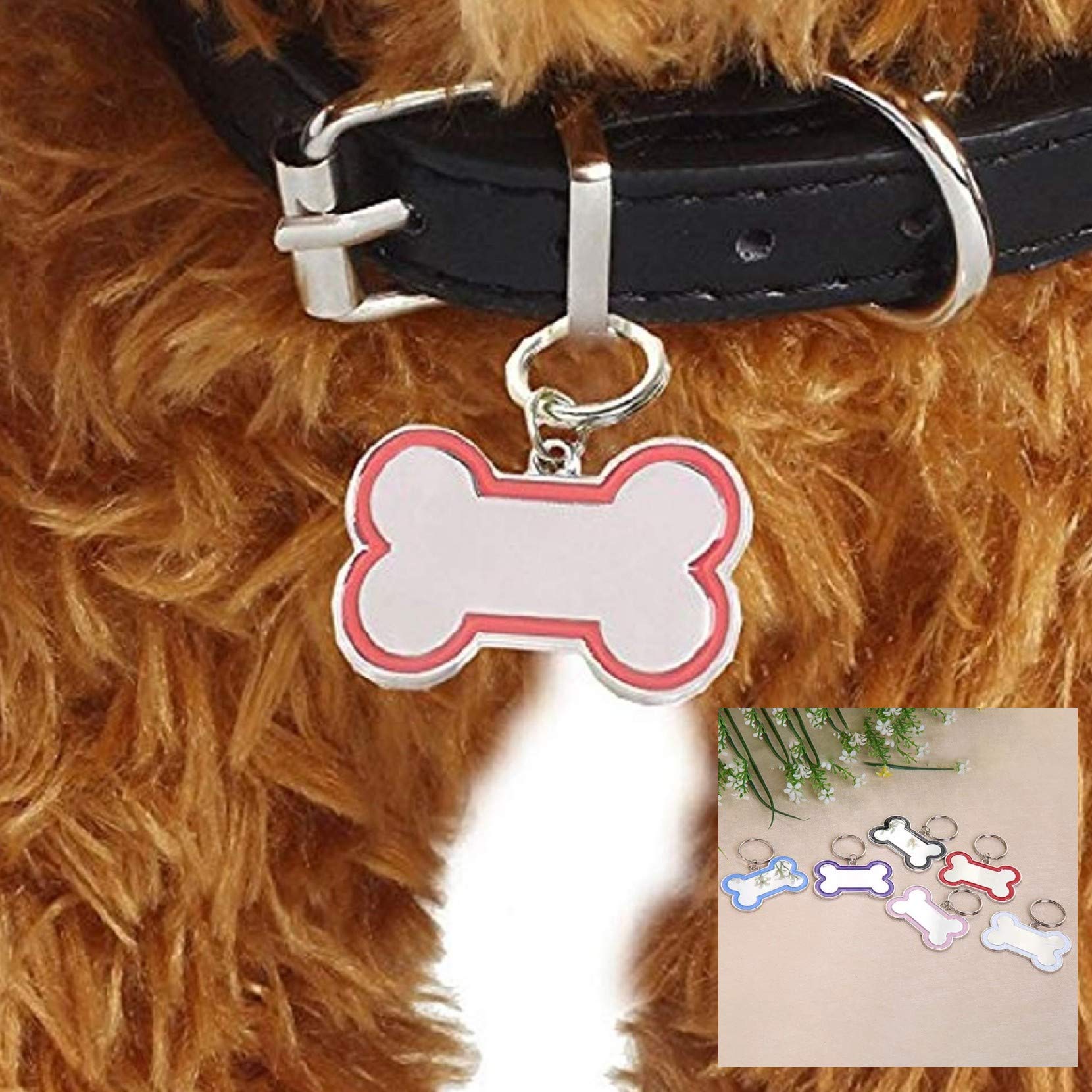PETLICIOUS & MORE Bone Shape Collar Tag for Puppies, Kittens & Dogs - Color May Vary (B07KTWBJQS) Amazon Price History, Amazon Price Tracker
