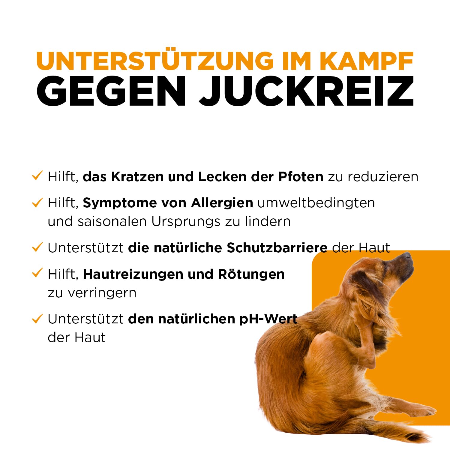 ProbioVet+ ANTI-PRURITO e Sollievo Leccamento Zampe - Stop al Grattamento - Probiotici Cani con Bacillus Velezensis e L-Glutammina - Salute Intestinale e Immunitaria - 60 Snack