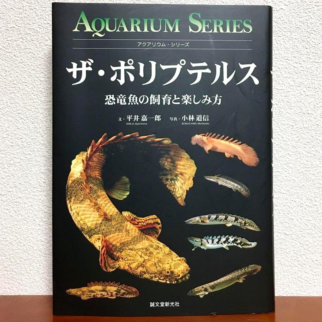希少 嶋野百恵 国内プロモ 非売品 希少 嶋野百恵 国内プロモ 非売品