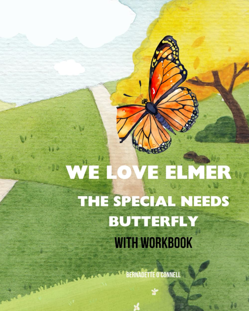 We Love Elmer, the Special Needs Butterfly