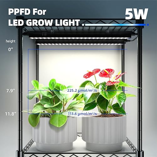 Miniatura 6 de Barrina Soporte para plantas con luz de cultivo para plantas de interior, estante para plantas con luz de crecimiento de espectro completo, paquete