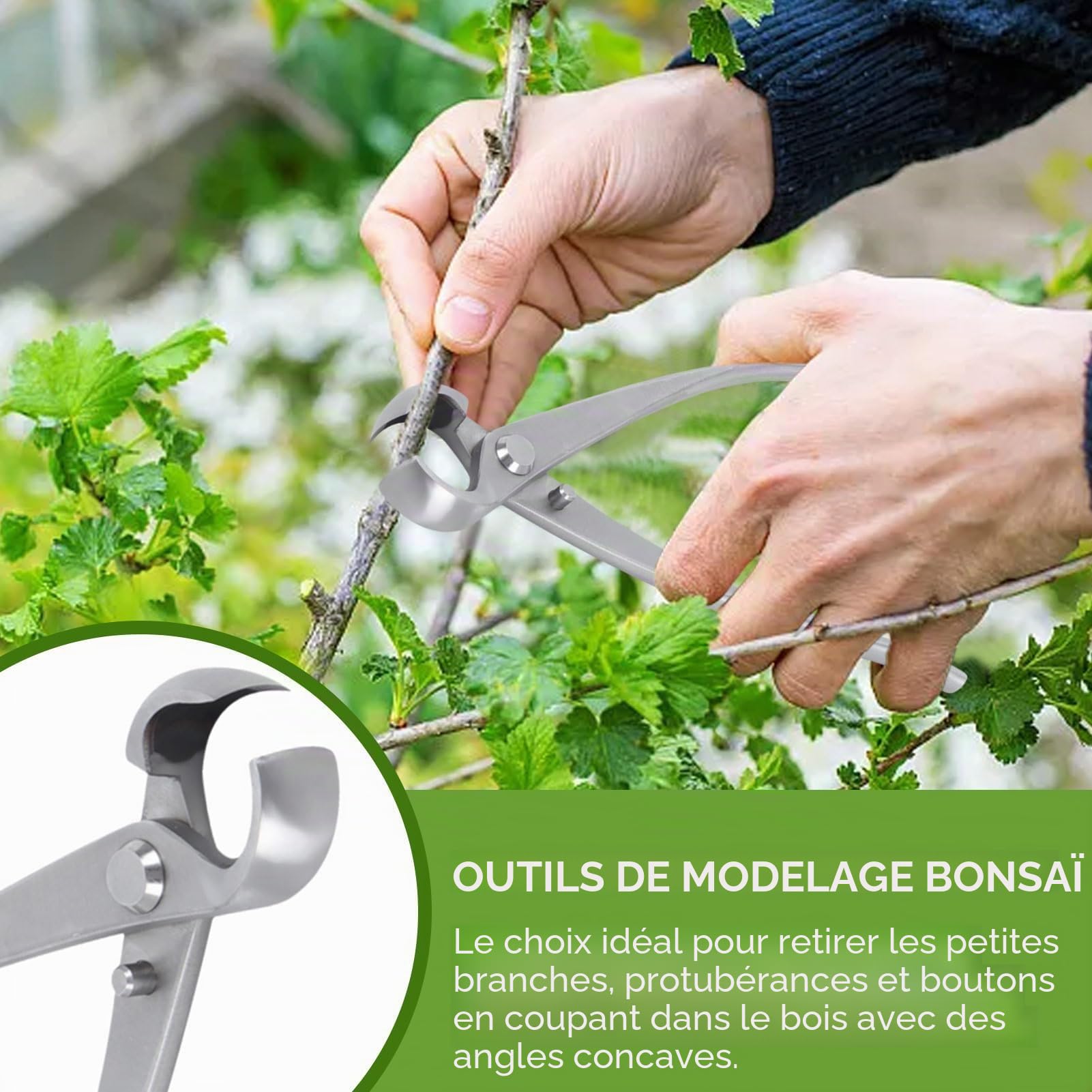 Ciseaux Bonsai, Coupe-bonsaï concave, Main Bonsaïs Cutter Branche Cutter,Coupe-branches Cisaille de Jardin Outils Bonsai, Acier Inoxydable, 180mm