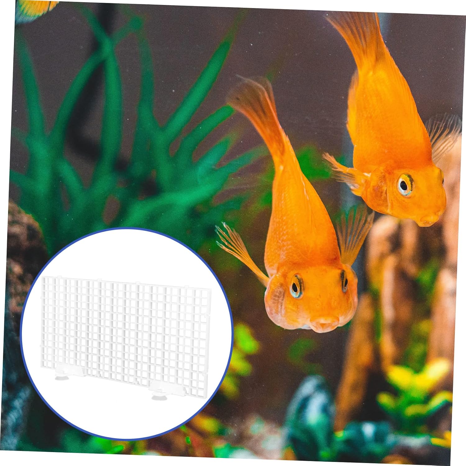 BESTonZON 1Set Aquarium Isolation Plate Semi Transparent Divider for Fish Tank Grid Design Durable Easy to Install Aquarium Accessories Includes Suction Cups