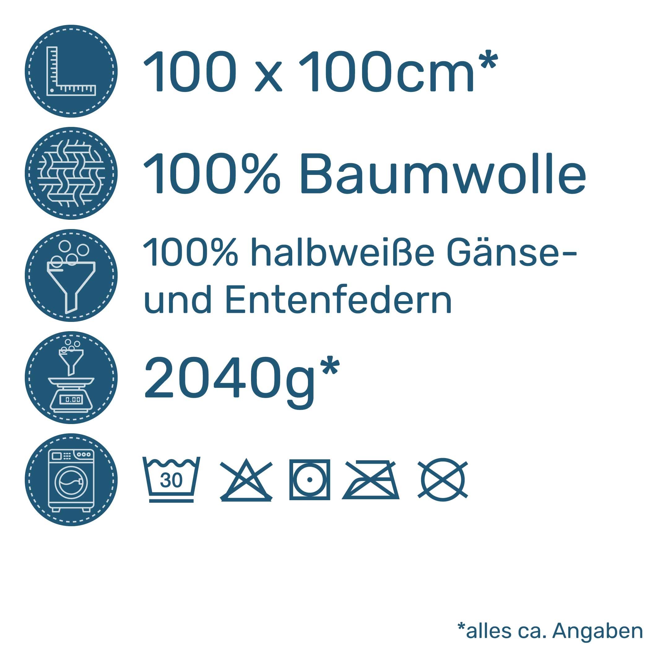 Federkissen 100x100 cm Gänse- & Entenfedern Made in Germany | Bauschige Naturfedern-Kissenfüllung | 100% Baumwolle-Bezug | kein Lebendrupf | waschbar | OEKO-TEX