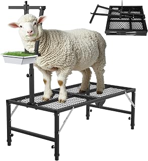 Foldable Goat Miliking Stand - 51x23 inch Metal Livestock Stand with Removable Feeding Tray, 500lbs Capacity Goat Sheep Stand for Trimming Shearing Milking Hoof with Adjustable Headpiece and Height