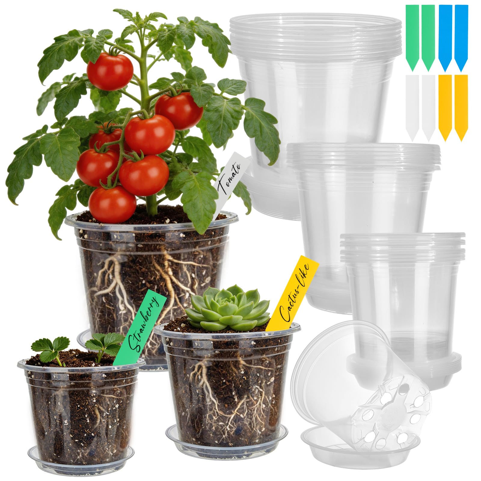 Paquete de 24 macetas transparentes de 4/5/6 pulgadas para plantas, macetas de plástico con agujeros de drenaje, paquete variado, macetas de jardín para interiores y exteriores