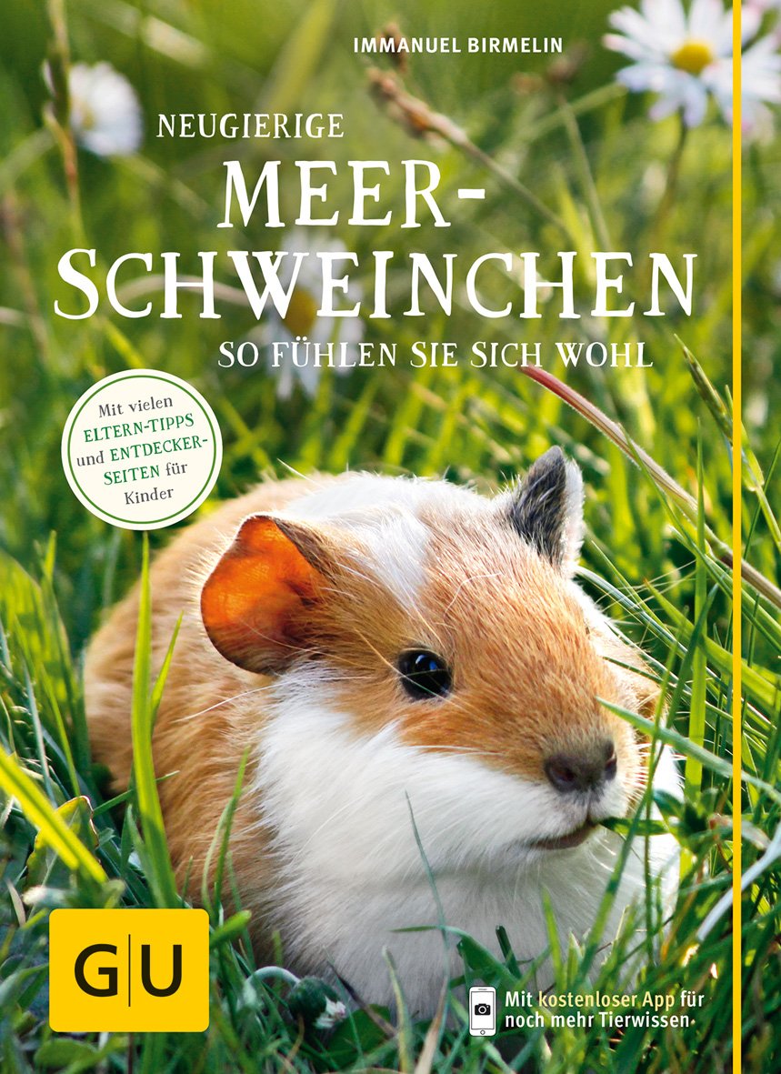 Neugierige Meerschweinchen: So fühlen sie sich wohl. Mit vielen Eltern-Tipps und Entdecker-Seiten für Kinder