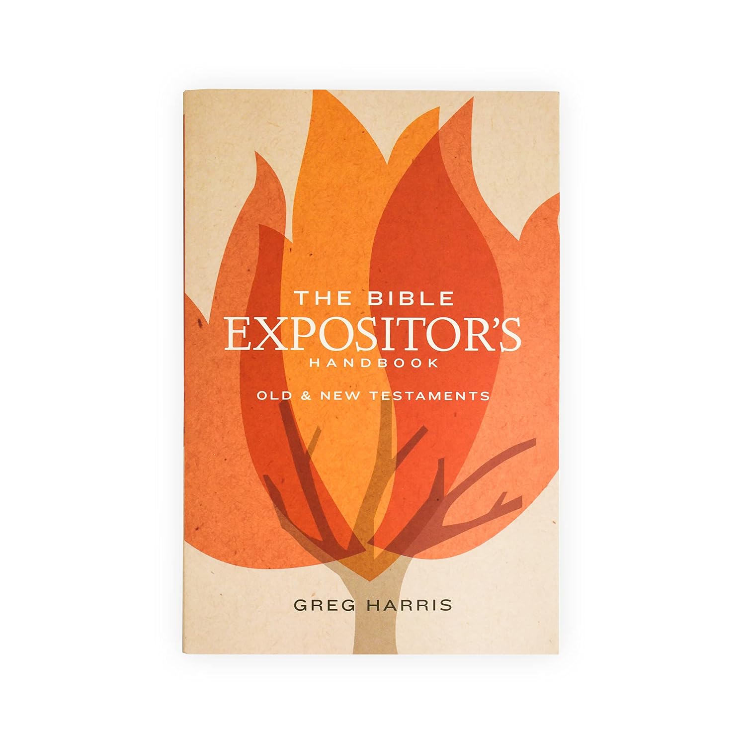 The Bible Expositor's Handbook: Old & New Testaments