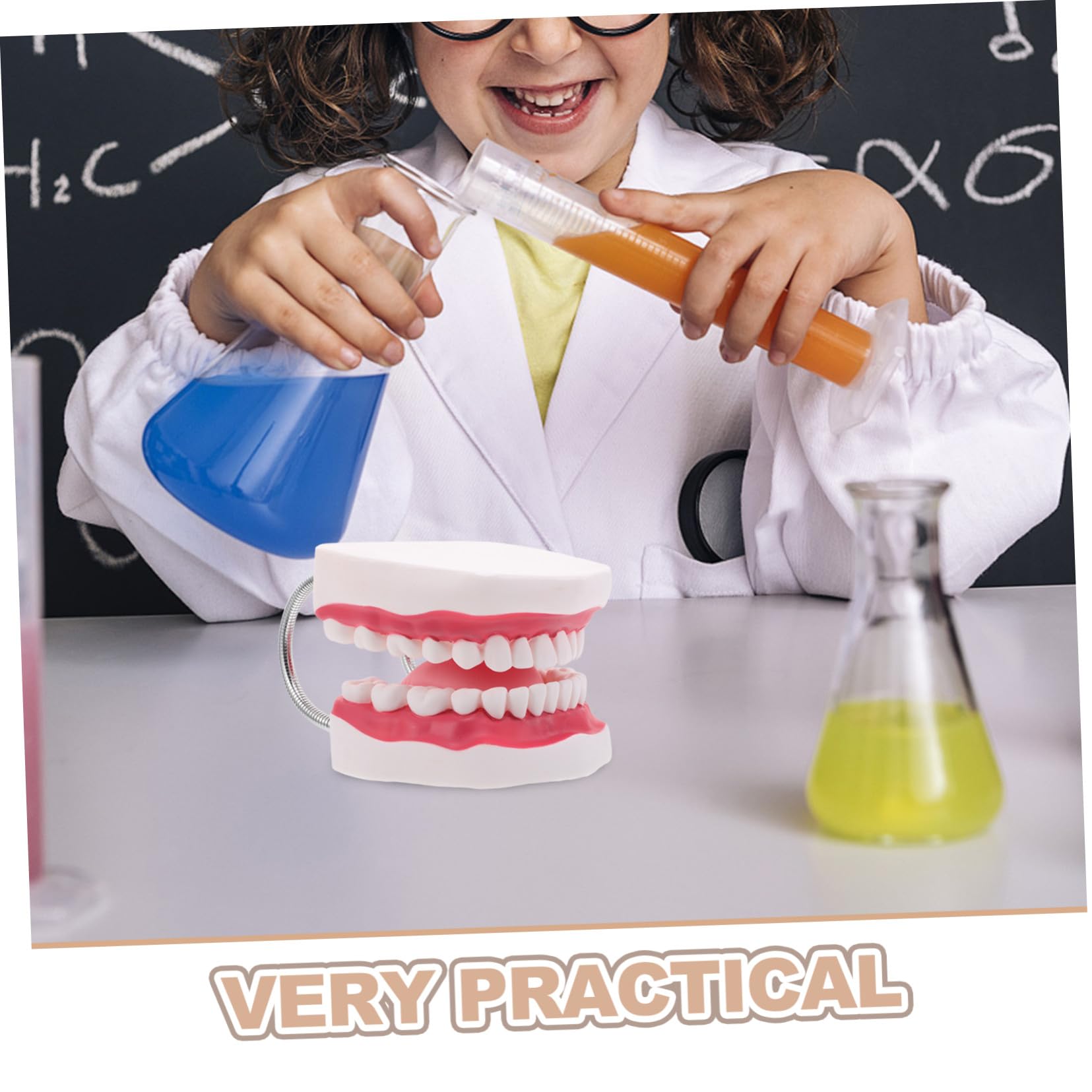 Modello Di Protesi Dentaria Ortodontica Modelli Di Denti Per Istruzione Denti e Bocca Finti Realistici Per Pratica Odontoiatrica e Preparazione All Esame Dentistico