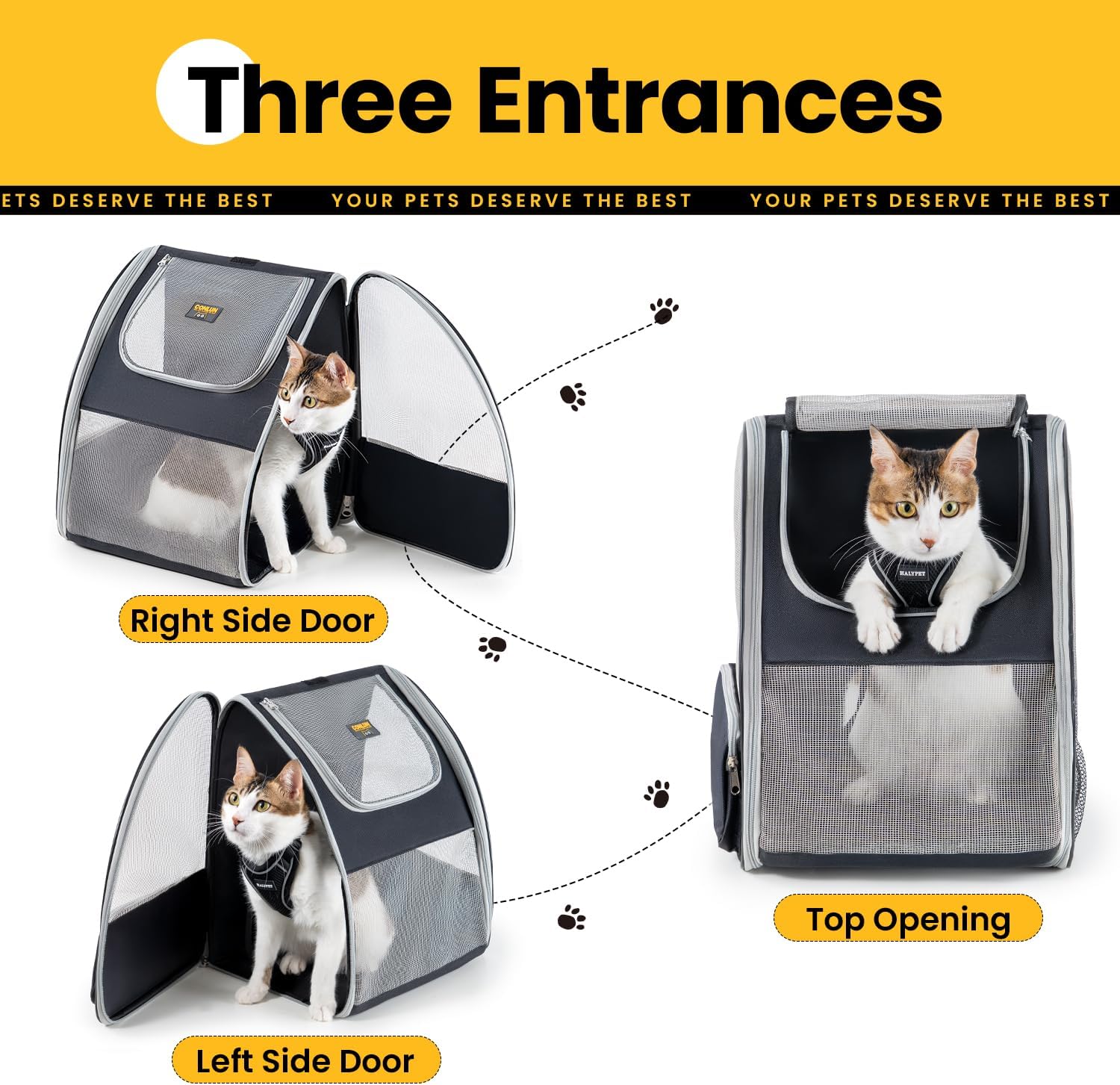 Adventure Awaits: The Ultimate Cat Backpack Carrier for Your Furry Friend