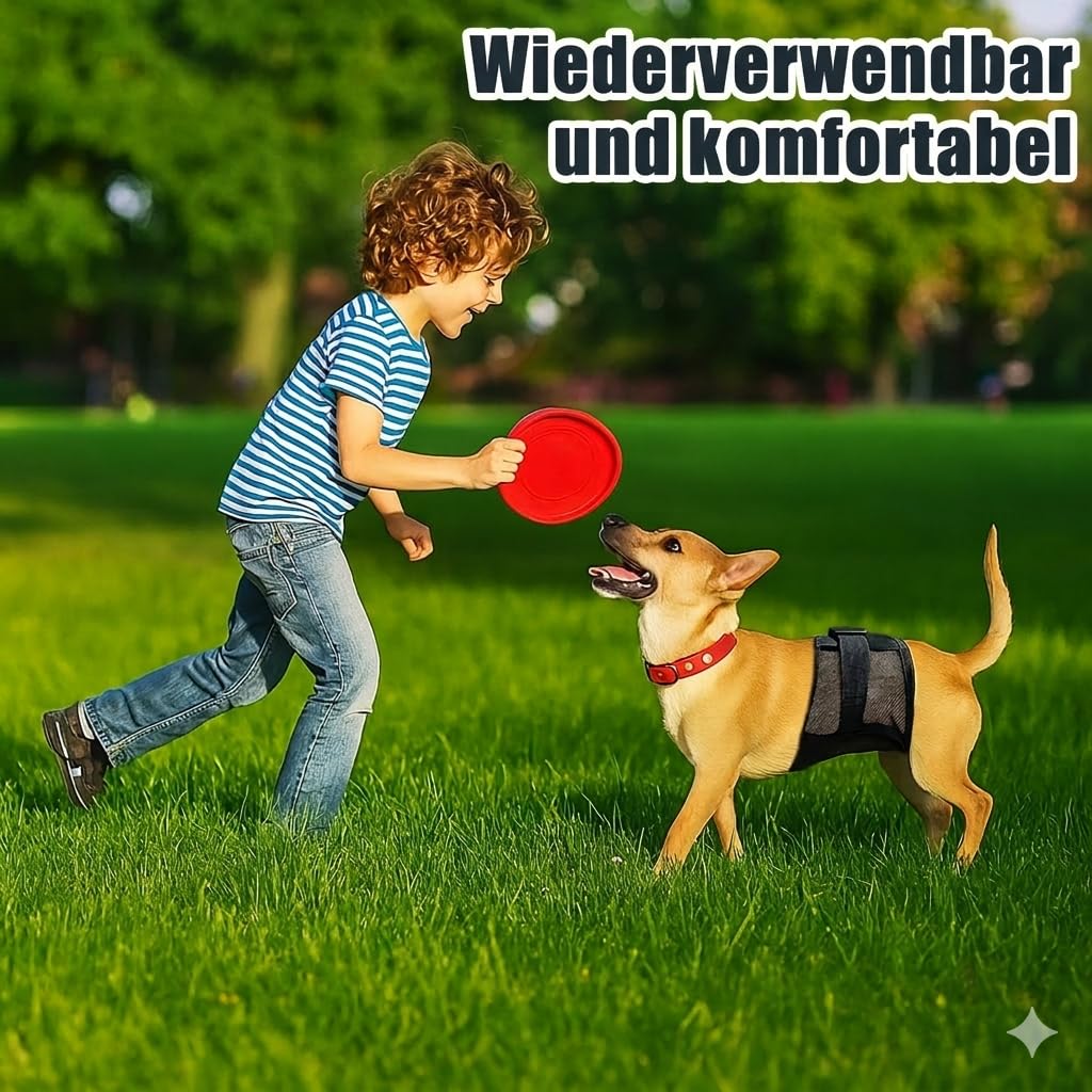 3PC Rüdenwindeln – Wiederverwendbare & waschbare Bauchbänder für Hunde, atmungsaktives Air-Mesh-Gewebe; für Hunde & Welpen bei Inkontinenz, Aufregungsurinieren und beim Training (L)