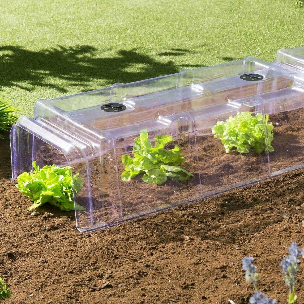 TERRE JARDIN - Tunnel de Forçage, 86 x 38 x 21 cm - Tunnel de Forçage Rigide, Transparent, Modulable, avec 6 Sardines de Fixation - Mini Serre Rigide Potager de Jardin avec Système de Ventilation