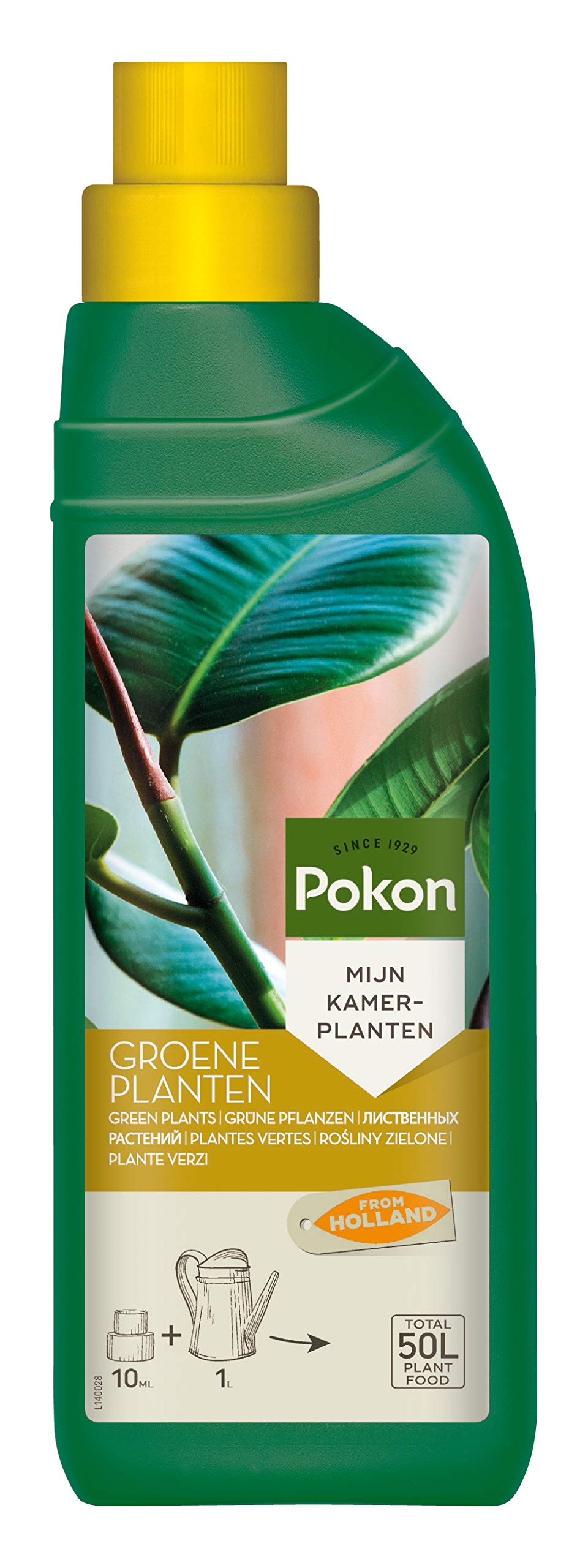 Pokon Grnpflanzen-Flssigdnger 500ml, Dnger Flssig fr Grnpflanzen im  Zimmer, auf Balkon und Terrasse : Amazon.de: Garten