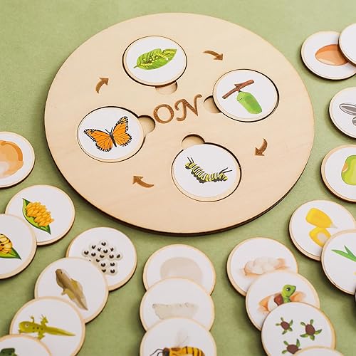 4 figuras de insectos ciclo de vida del gallo hormiga abeja mariposa mariquita rana Cicada insectos de plástico para figuras de animales de