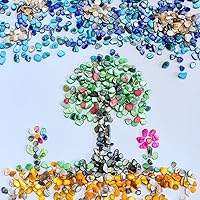 Vista 6 de QICQDRAM Conchas trituradas para manualidades de aproximadamente 1 libra (14.29 oz/14.28 onzas), pequeñas conchas naturales trituradas a granel