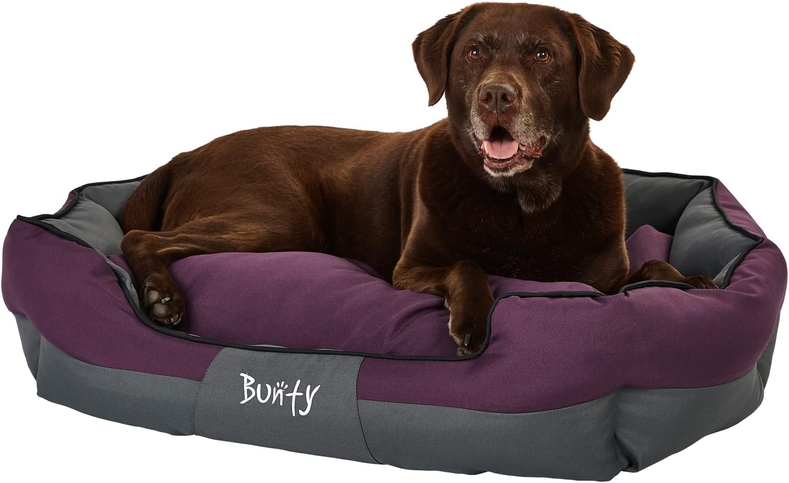 Bunty Anchor Sofa Dog Bed & Cat Bed, ExtraLarge Plush Cushioning & High Sides Water