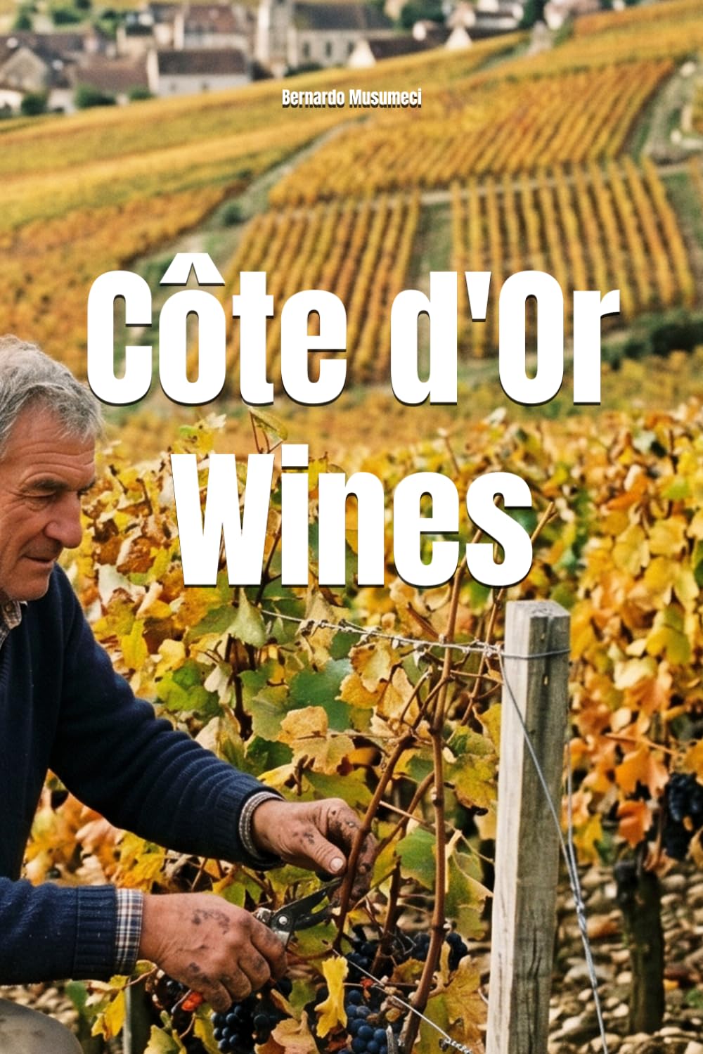 Côte d'Or Wines (Wines of the World: France)