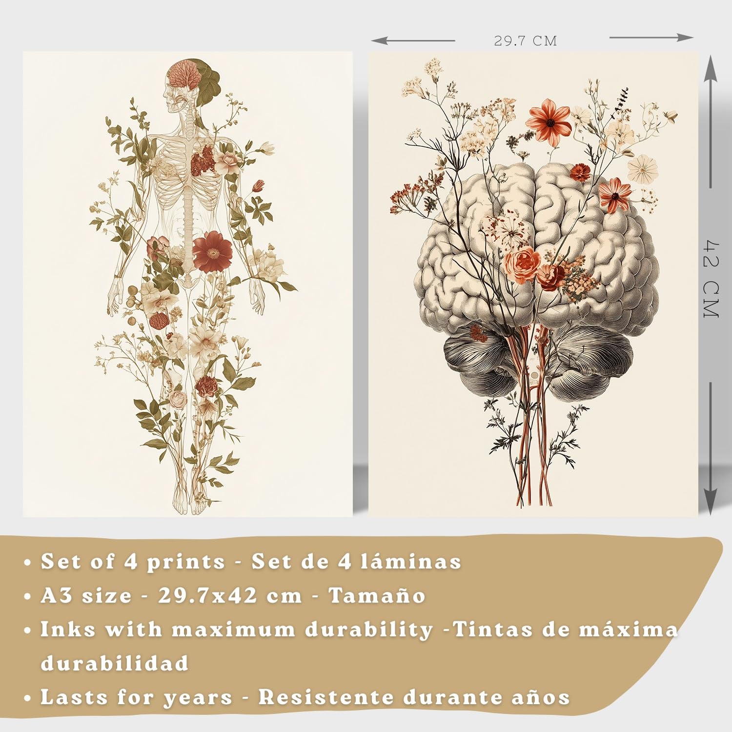 Nacnic Set Di 4 Stampe Anatomia Umana Poster Decorativi E Quadri Con Fiori Corpo Completo Cervello Mano E Cuore Stile Moderno Decorazione Da Parete Medica Dimensione A3 Telaio In Legno Chiaro