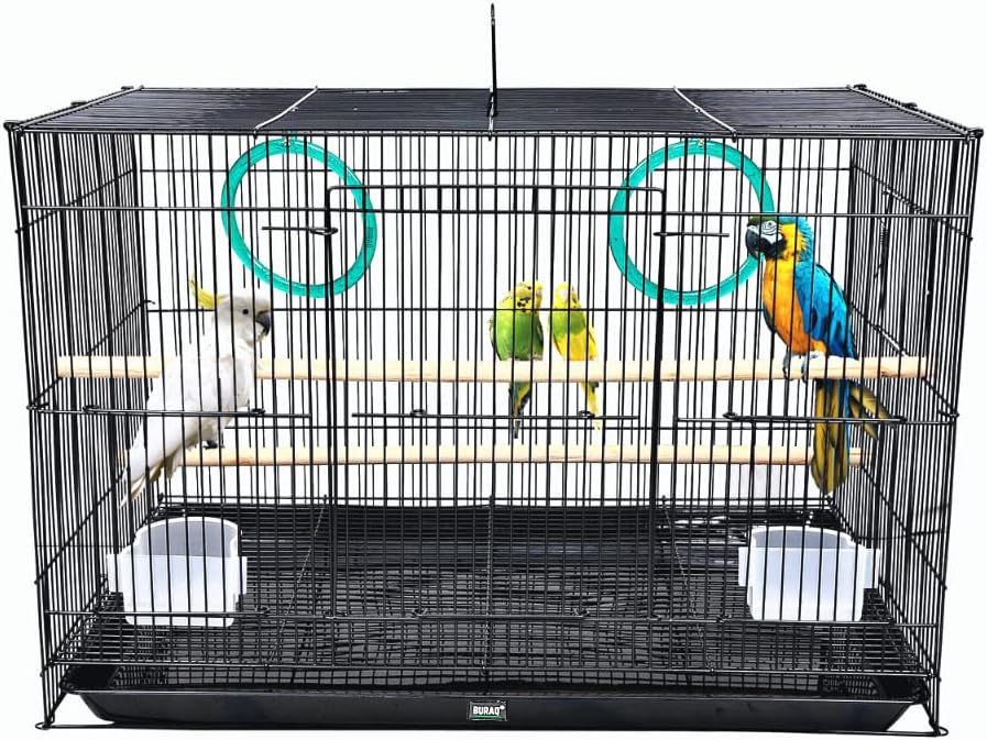 BURAQ Bird Metal Cage for Lovebird, Parrot, Parakeet, Budgie, Cockatiel With Hammock, Ring Swing - Small/Large (Multicolor, 1.25 Ft)
