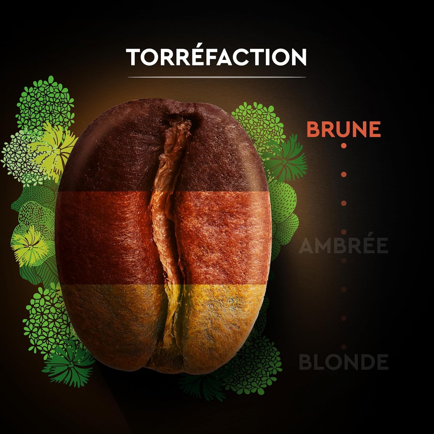 CARTE NOIRE - Bio Intense - Café en Grains Torréfiés - Pur Arabica Biologique - Paquet de 6 kg