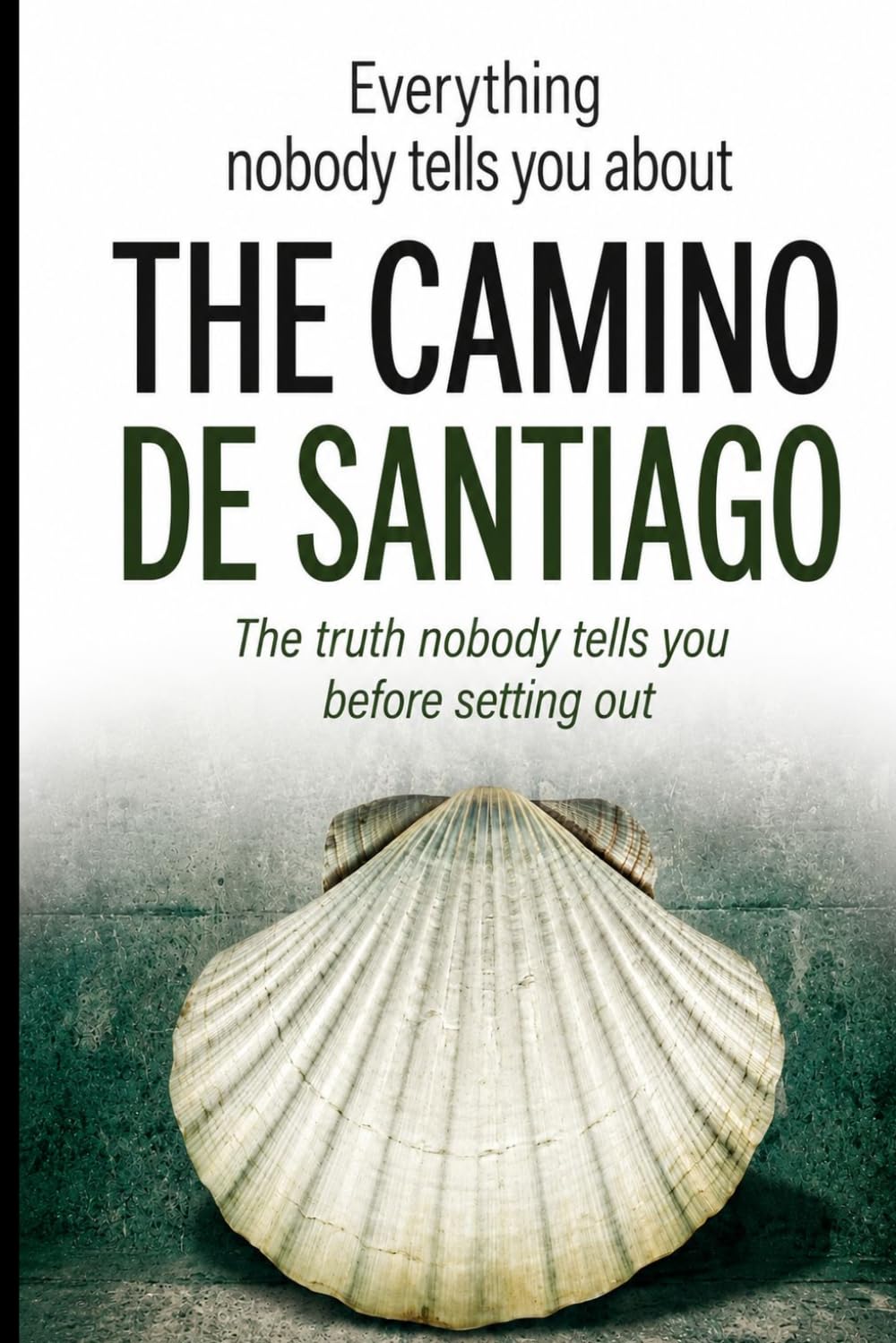 Everything Nobody Tells You About THE CAMINO DE SANTIAGO