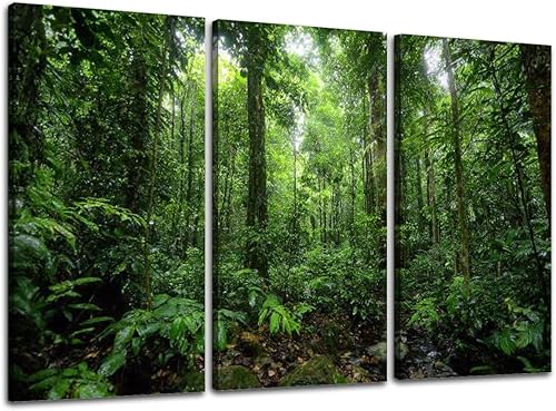 Miniatura 13 de Lienzo de 3 piezas de impresiones artísticas para pared, cuadro de paisaje de selva tropical, selva tropical, cuadros enmarcados, pintura de pared,