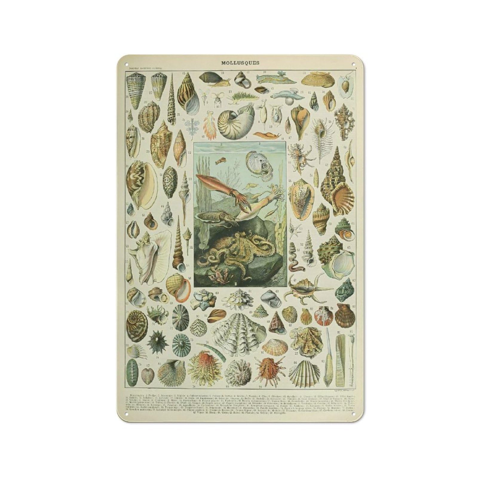 Junmoney Style-5 Vintage Mollusques Metal Wall Plaque 30X20cm, Character Room Wall Plaque For Hallway, Home Bar, Garage Or Study