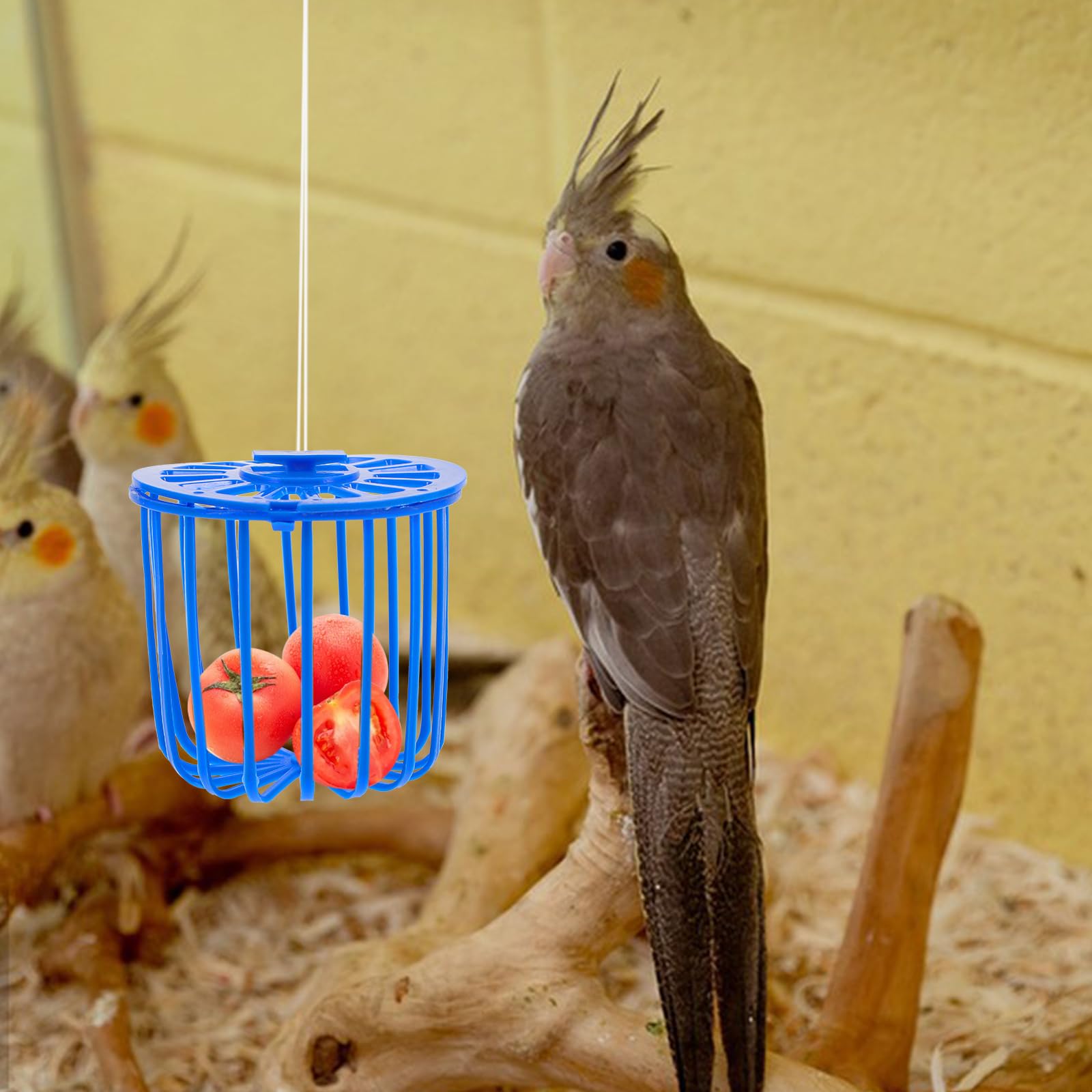 Mipcase Lot de 10 distributeurs de nourriture pour animaux domestiques - Accessoires pour animaux domestiques - Mangeoire à oiseaux - Mangeoire à légumes pour perroquet - Mangeoire à pinsons - Panier