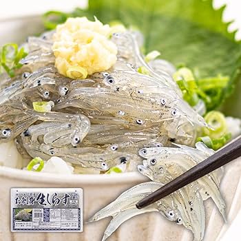 しらす様★ 楽天市場】【ふるさと納税】小分けしらすツインパック12個セット