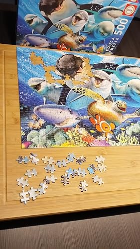 Educa 500 Teile Puzzle | Villa Am Meer | Für Erwachsene