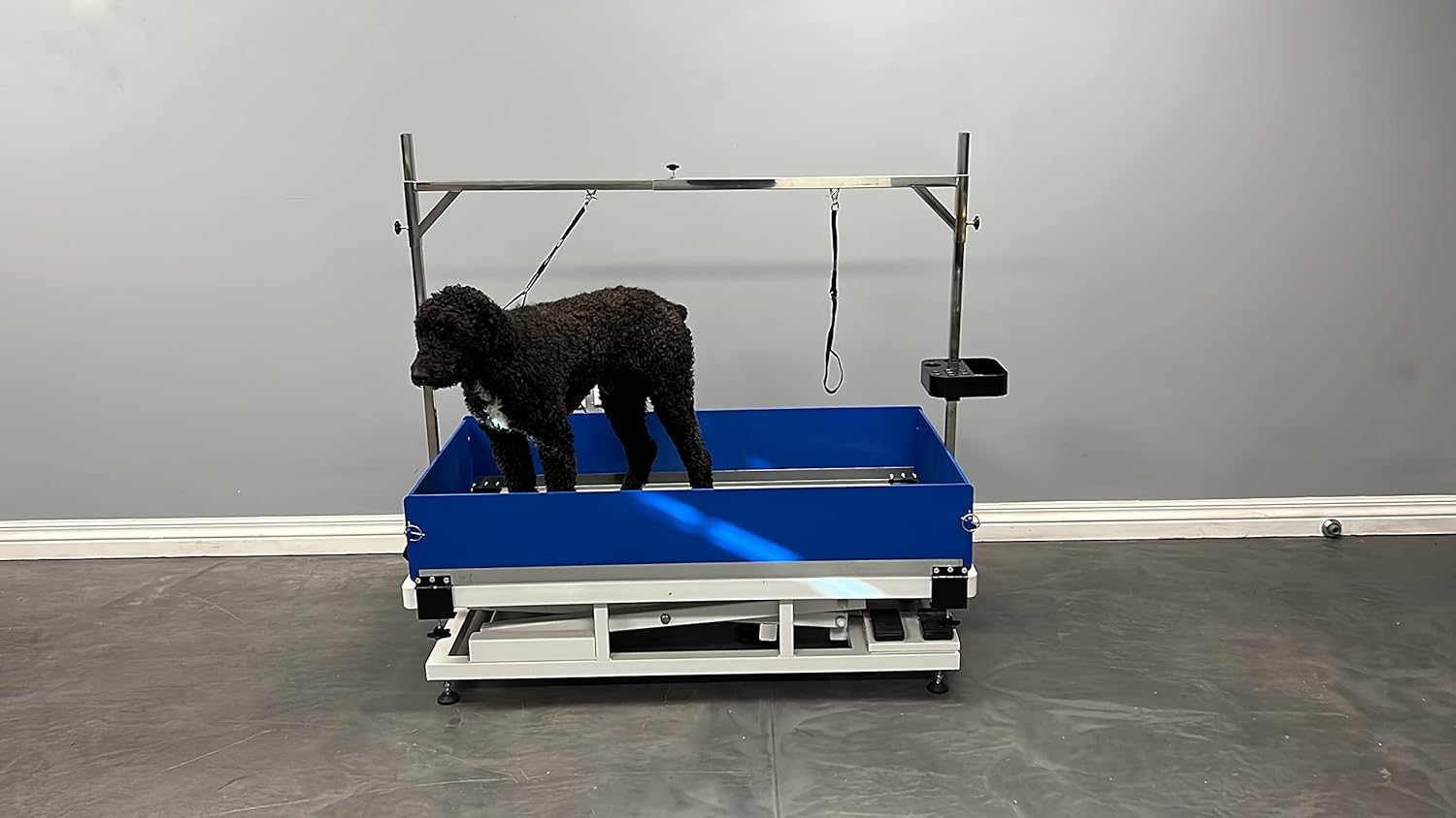 Elevation 48 Grooming Table (Complete Package)
