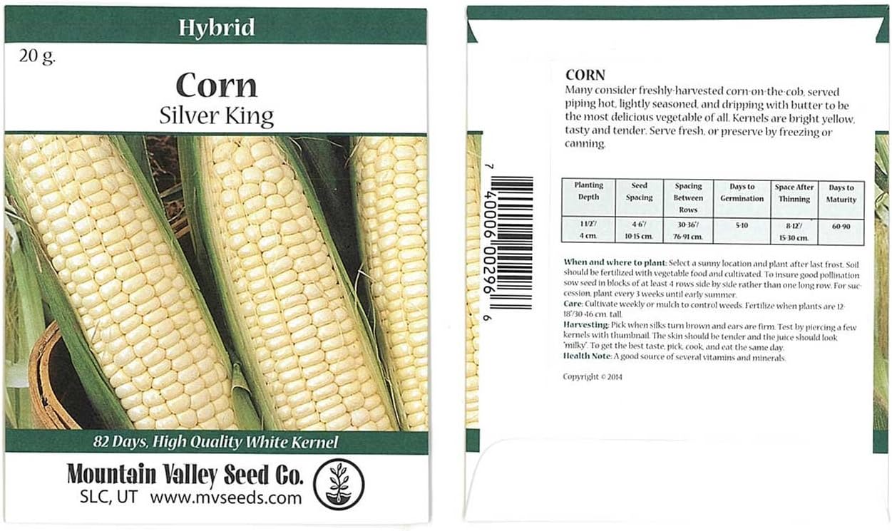 Silver King Hybrid Corn Garden Seed - 1 Lb ~1,488 Seeds - Non-GMO Vegetable Gardening Seeds - White Sweet Corn (SE) - Micro Greens Shoots