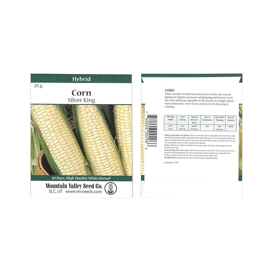 Amazon.com : Silver King Hybrid Corn Garden Seeds - 20 Gram