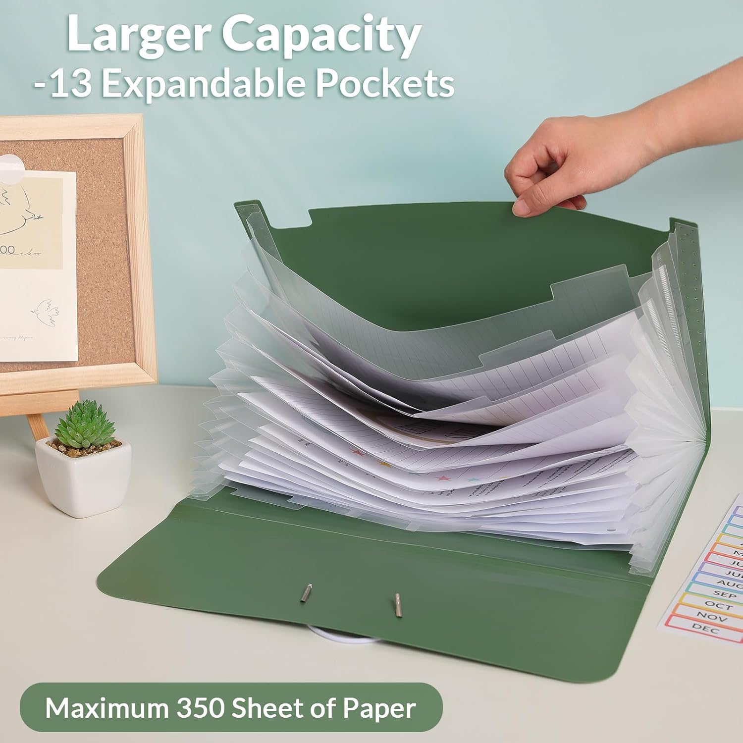 Expanding File Folder, Accord File Organizer Poets for