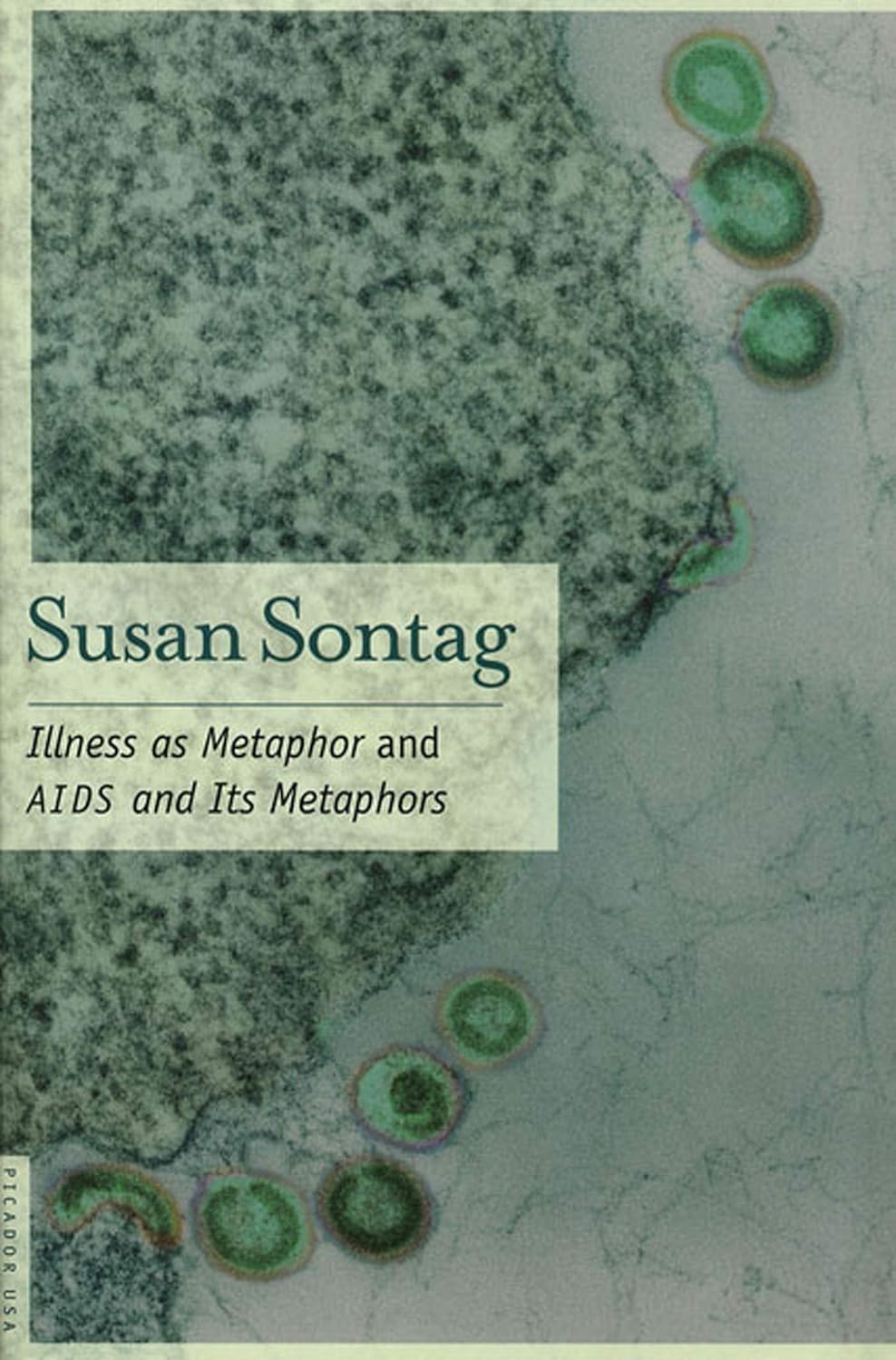 Susan Sontag Illness as Metaphor and AIDS and Its Metaphors