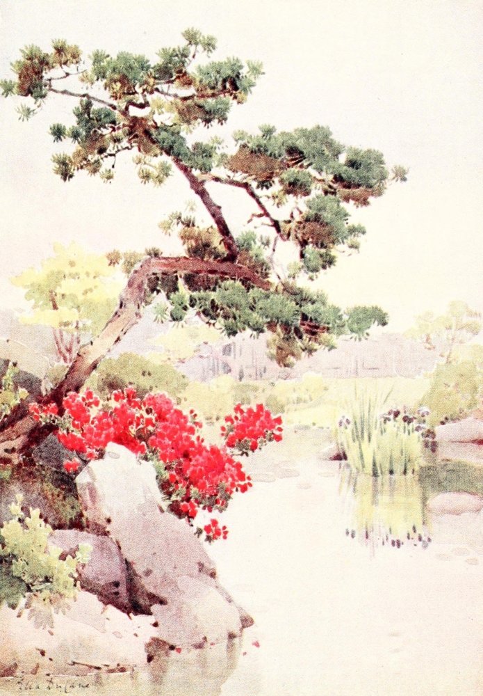 Amazon.com: Posterazzi Azalea & Pine-tree Flowers & Gardens of