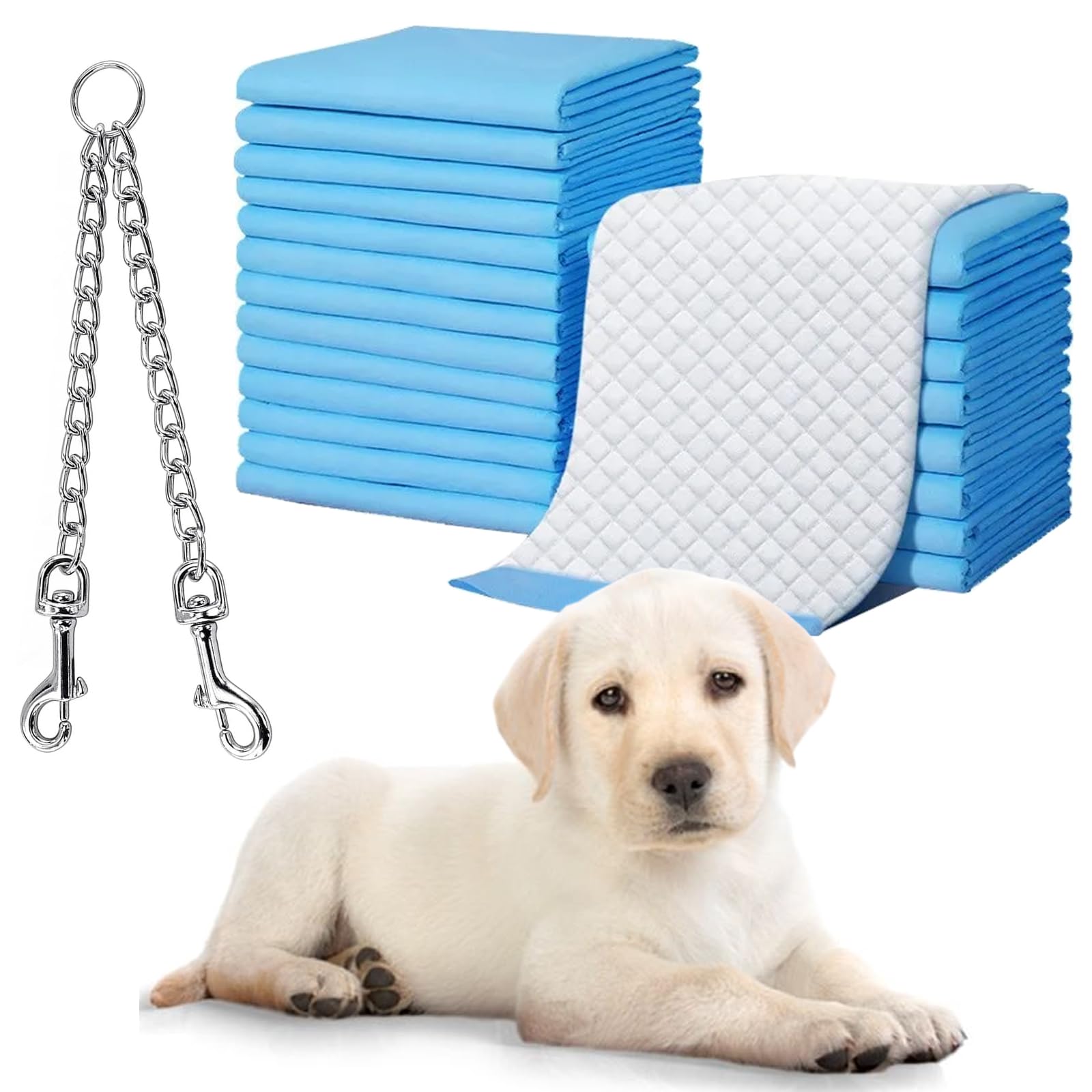 200 Pack Large Dog Training Pads (60 x 60 cm), Super Absorbent Puppy Pee Pads, Leak-Proof Disposable Pet Toilet Mats, Quick-Dry Potty Pads for Puppy Training, Indoor Dogs, Cats, and Small Pets